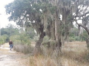 16099595088_9bcbcbe2ba_z