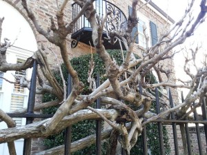 16123418488_e46ae572c8_z