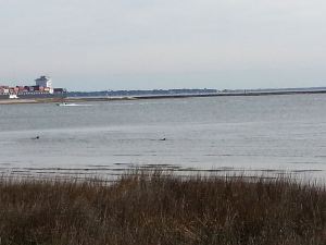 16284417636_f89016dce7_z