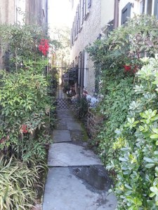 16285052646_97699a7ab3_z