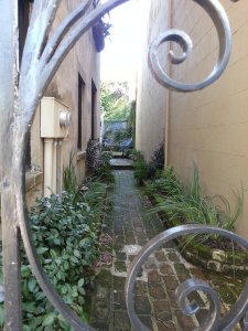 Charleston Touristas!