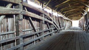 20023653135_d1dba87a4d_z