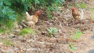 Bar Harbor 2 Lancaster:  Bike friendly roads and less&nbsp;hills