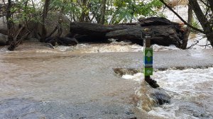 Our ECG Trail had turned into rapids