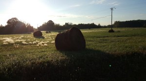 Bales of hay in rural NC countryside