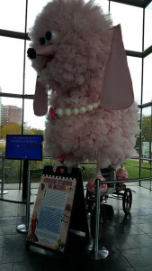 Fifi the wonder&nbsp;chariot