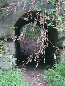 Grande Trailfest:  Confidence Journal&nbsp;Entry#3