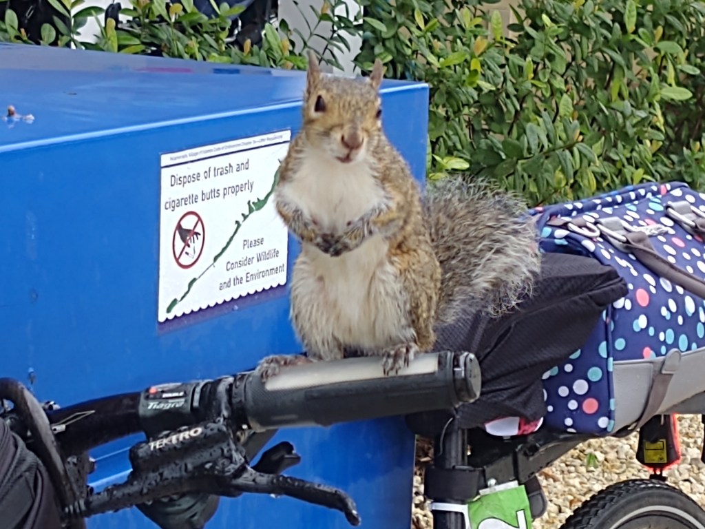 East Coast Greenway (2019):  Key Largo to&nbsp;Marathon