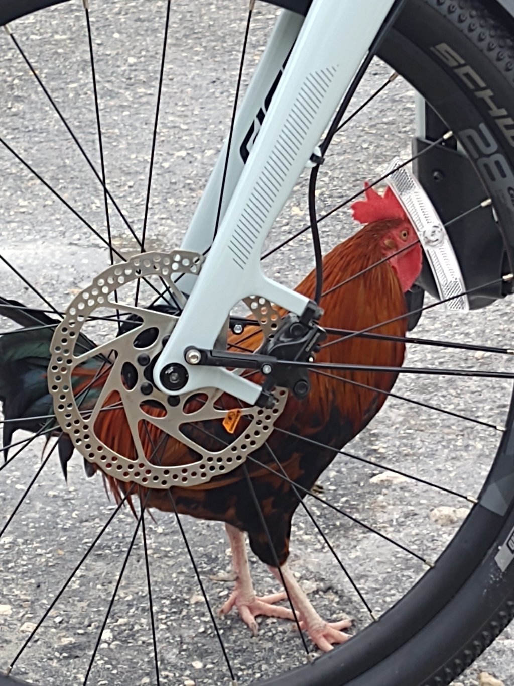 East Coast Greenway (2019):  Cycling Marathon to a Key West&nbsp;finale